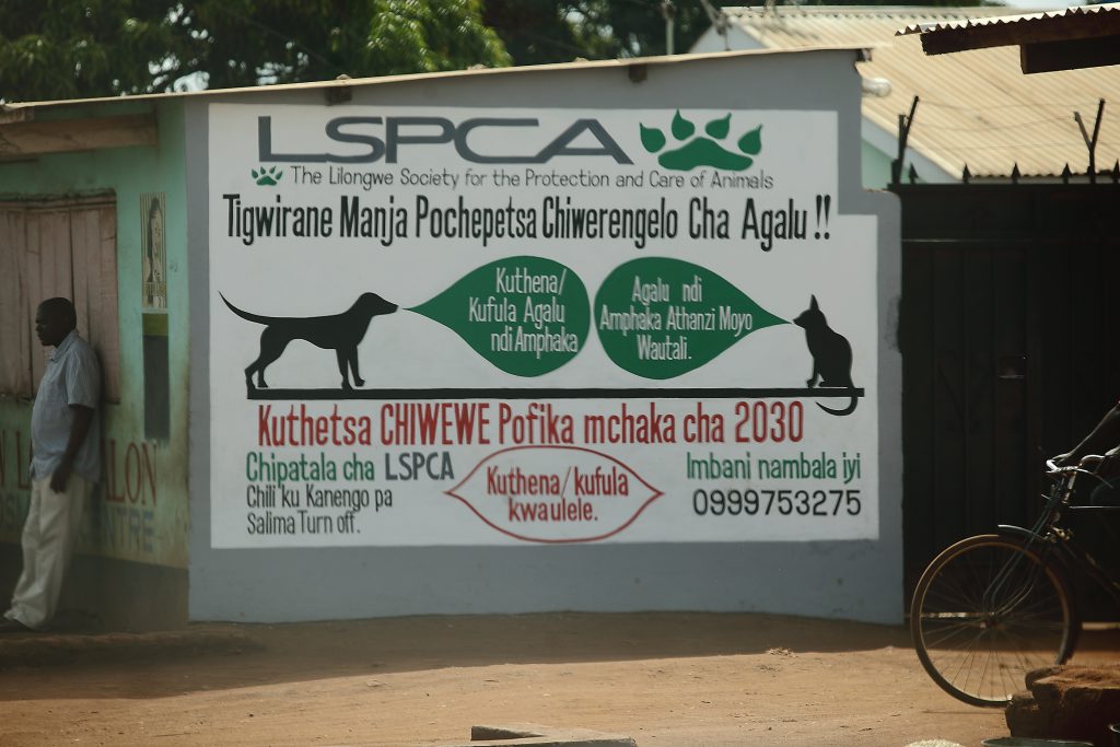 Painted murals on the outer walls of shops as an affordable and long-lasting method of communicating with local owners about where to access reproduction control and rabies vaccination for their dogs.