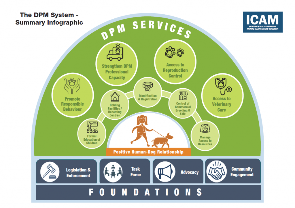 DPM system infographic