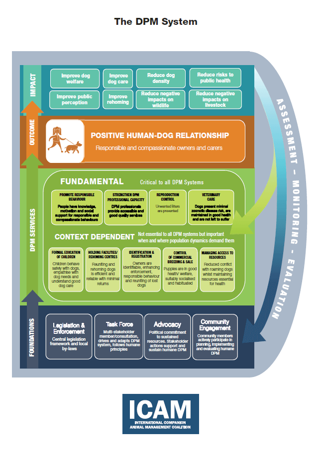 Figure 4 – Visualisation of the DPM system