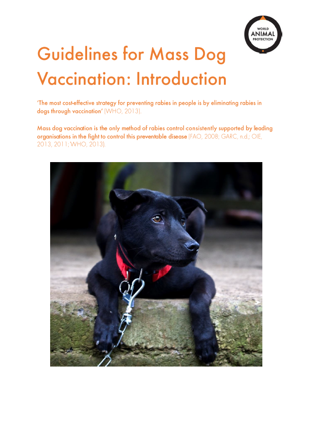 World Animal Protection’s Mass Dog Vaccination MDV guide
