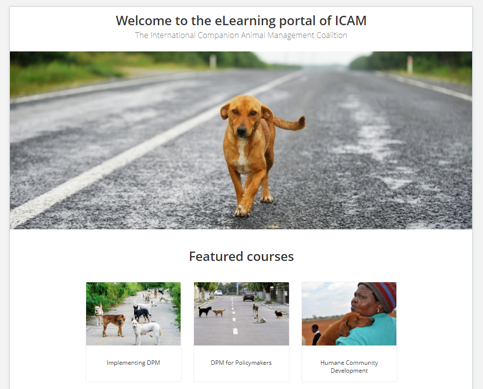 ICAM elearning portal screenshot