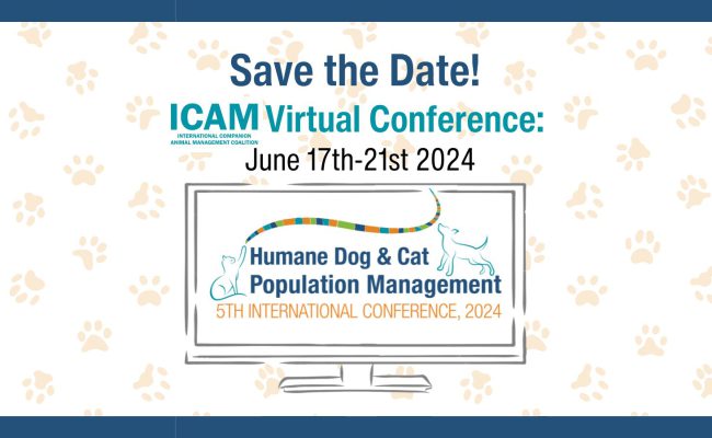 Save the Date - 2024 ICAM Conference