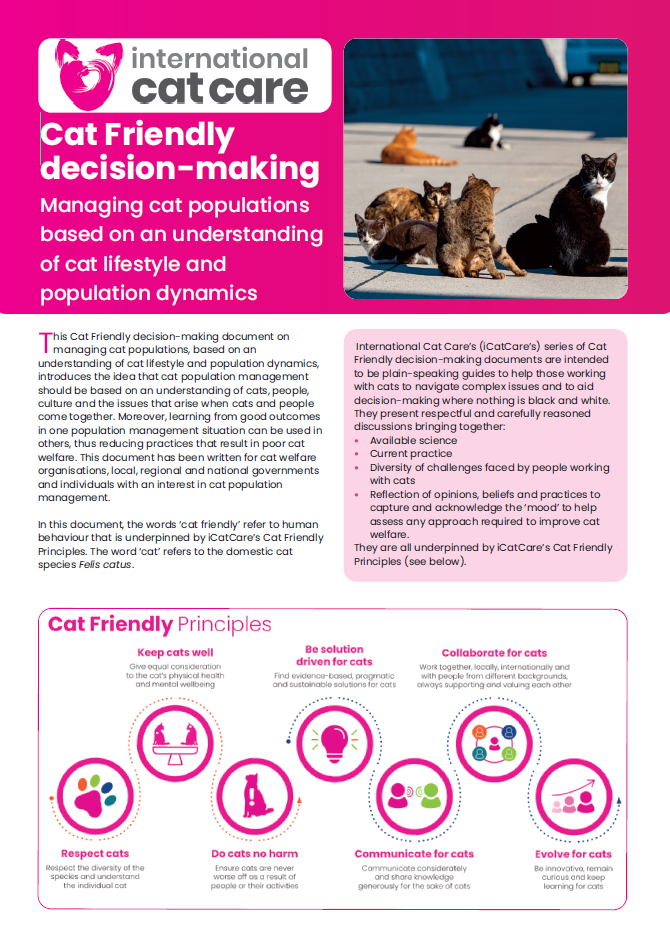 International Cat Care’s Cat Friendly decision making guide